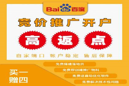 竞价推广与SEM托管结合的营销策略——某电商平台的实践